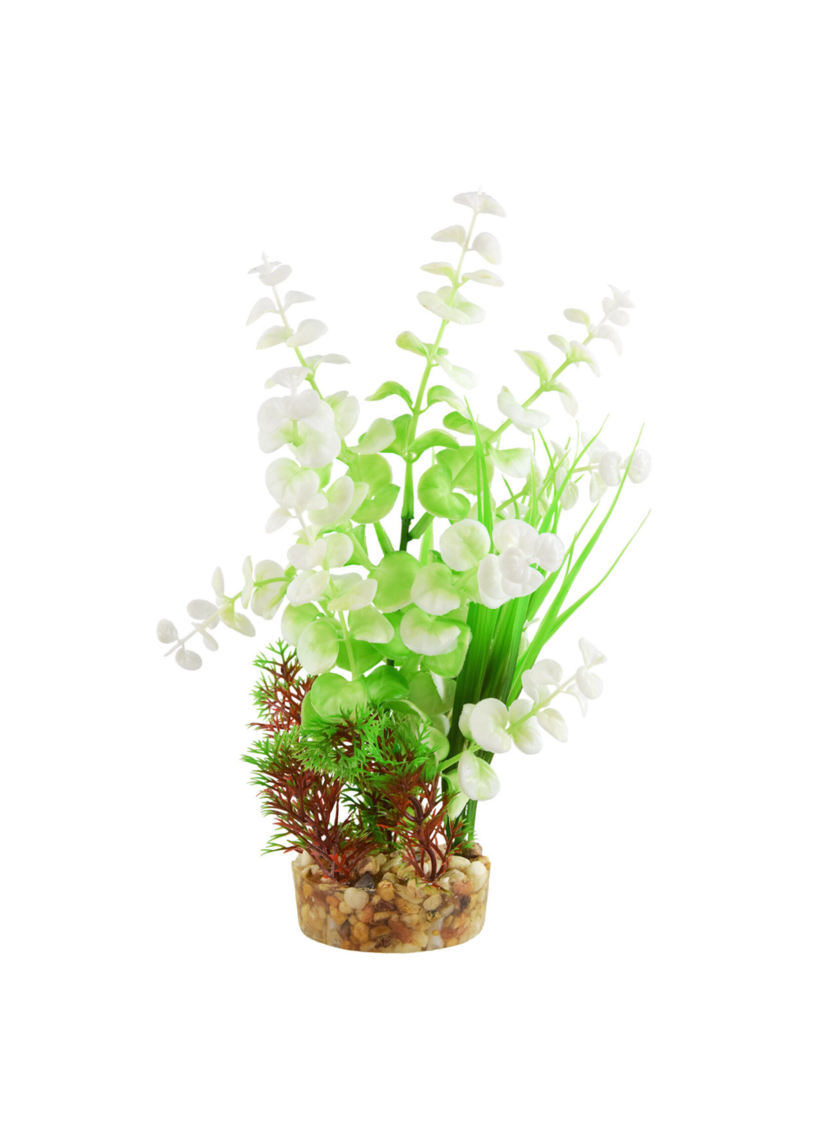 Underwater Treasures VARIETY  FROSTY TIPS 10"