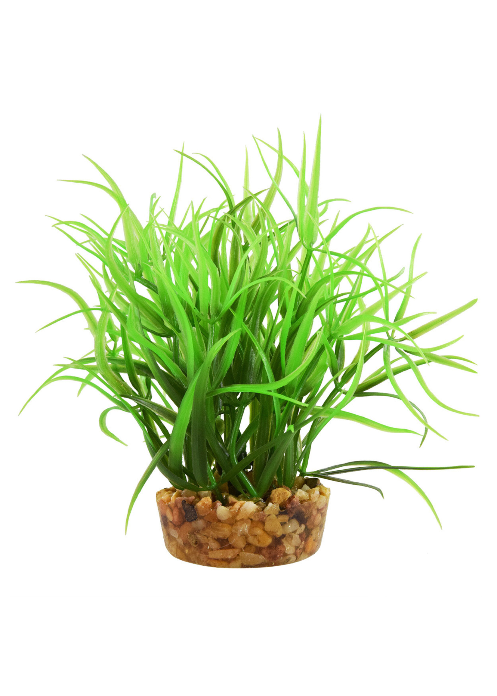Underwater Treasures UT STAR GRASS 4"