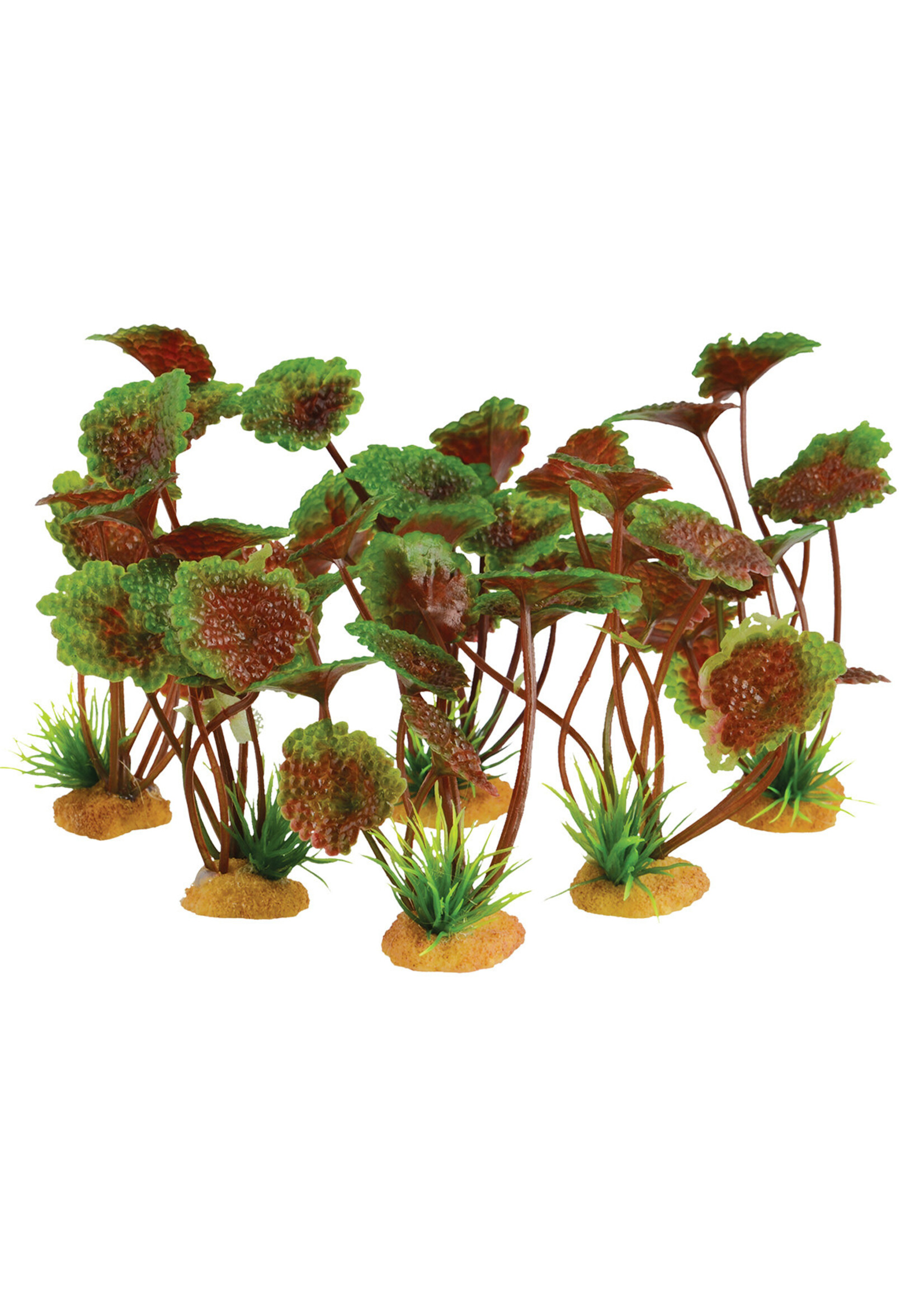 Underwater Treasures FOREGROUND PURPLE CARAMINE 3.5" 6 PK"