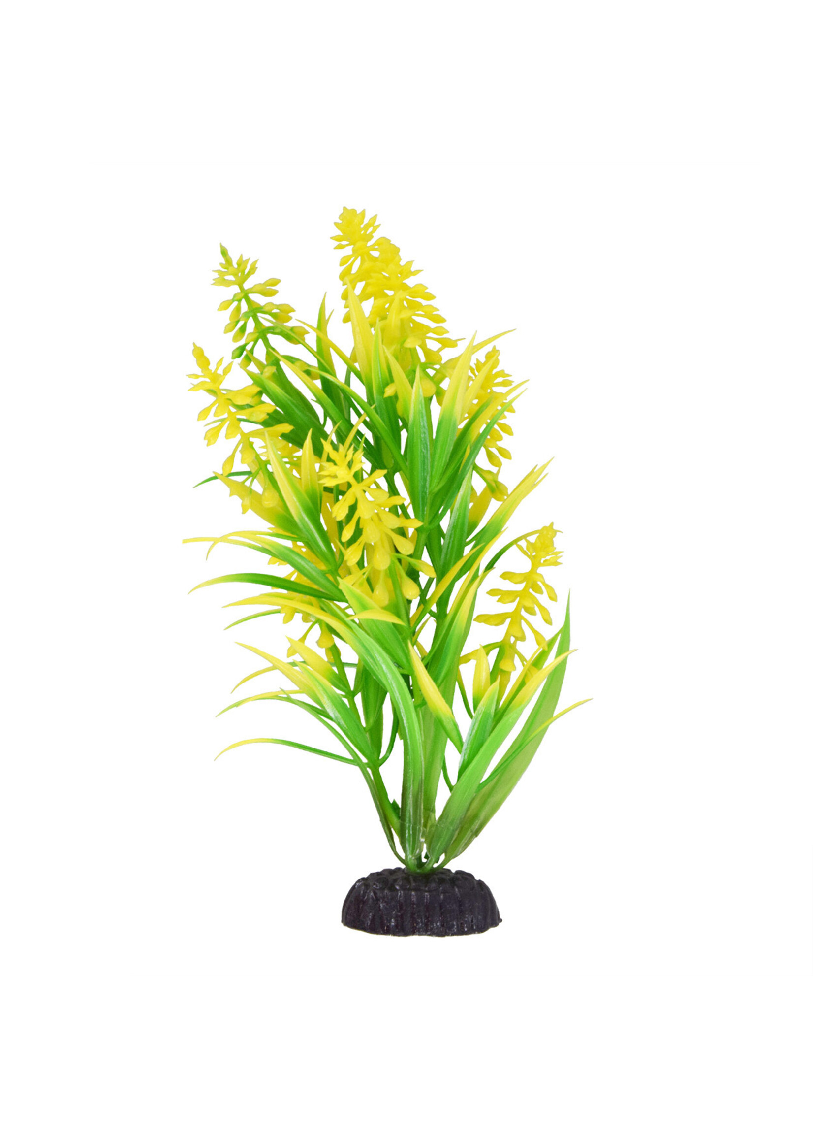 Underwater Treasures DRAGON LEAF YELLOW TIP