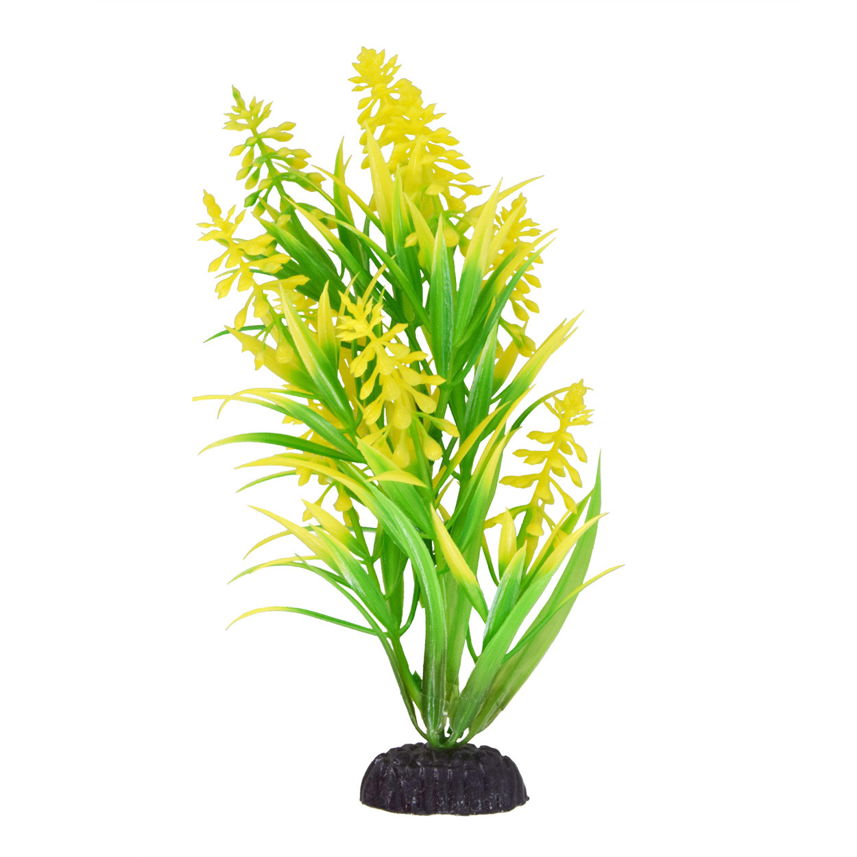 DRAGON LEAF YELLOW TIP