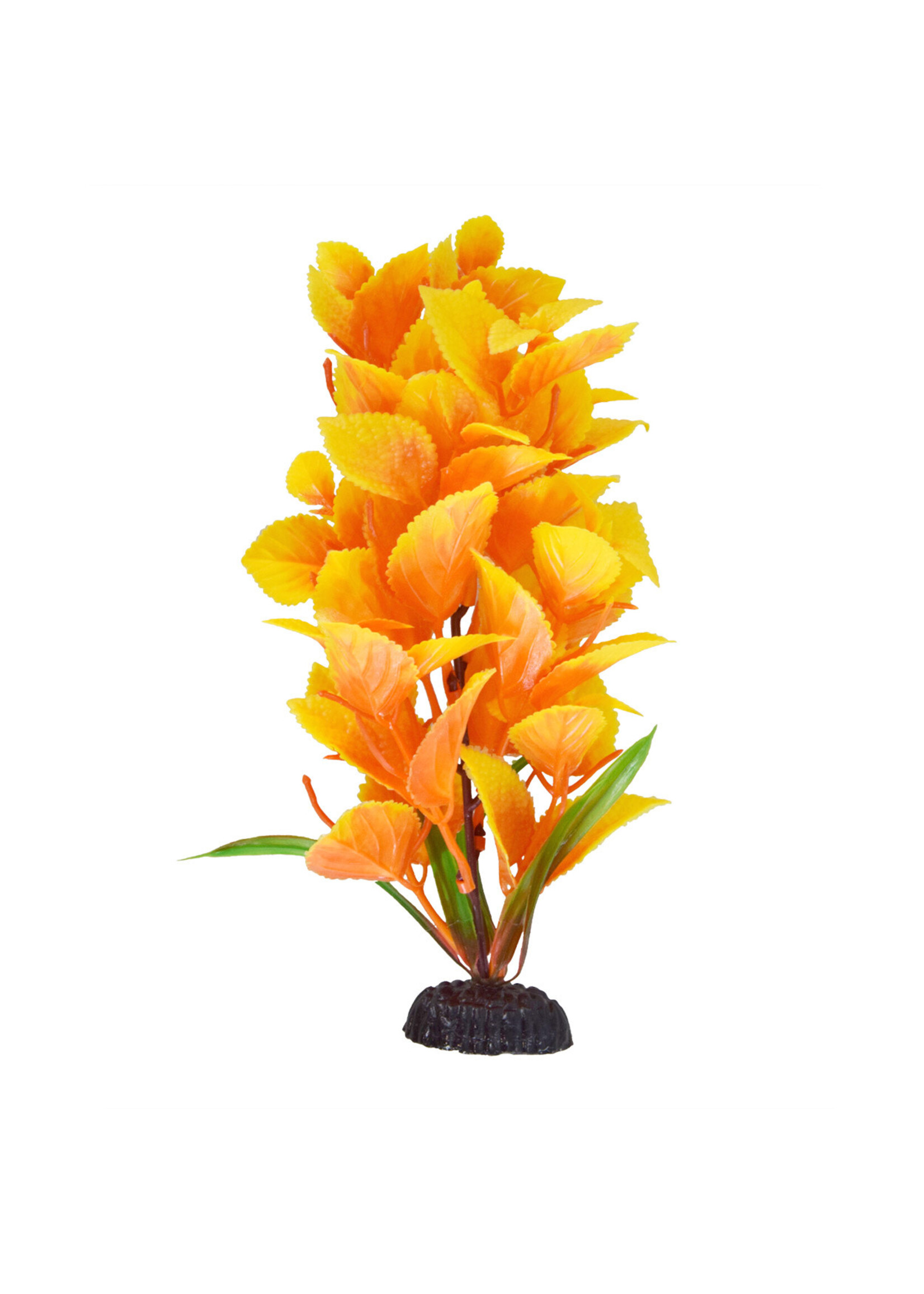 Underwater Treasures FLAMING BROADLEAF