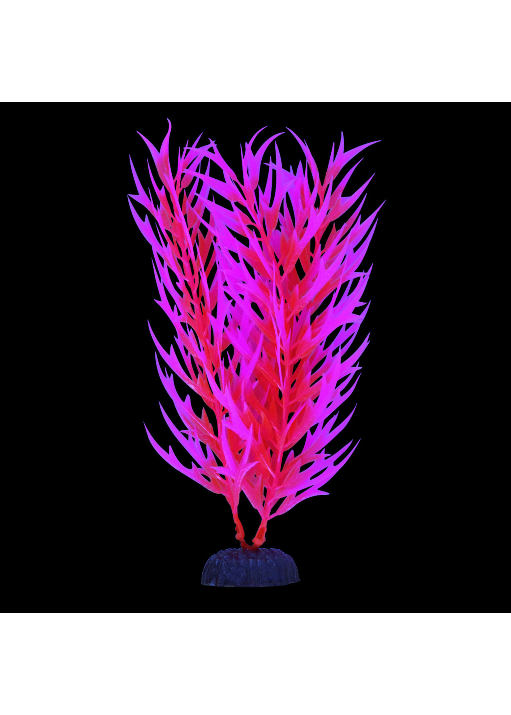 Underwater Treasures GLOW BAMBOO PINK