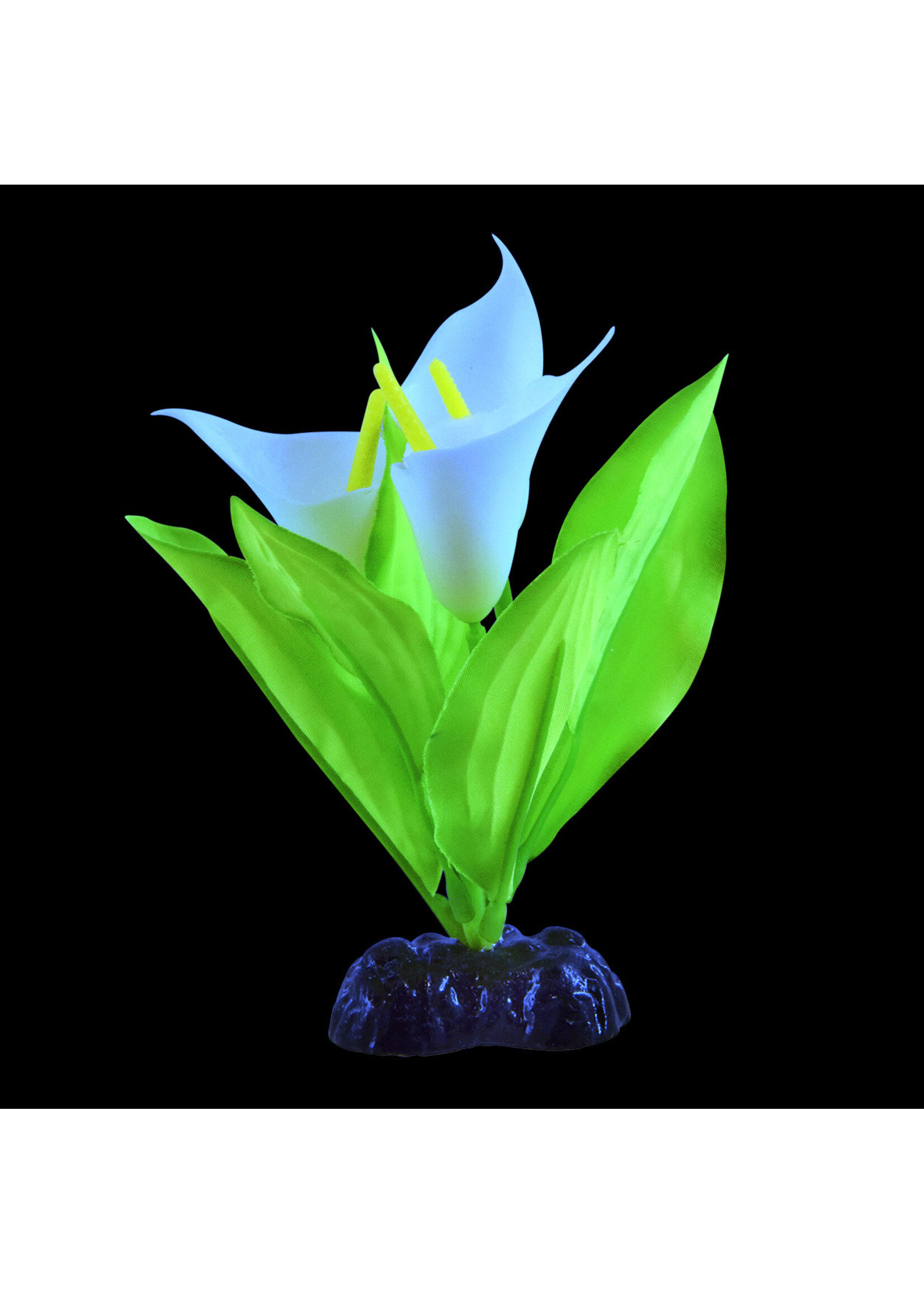 Underwater Treasures GLOW BROADLEAF LILY