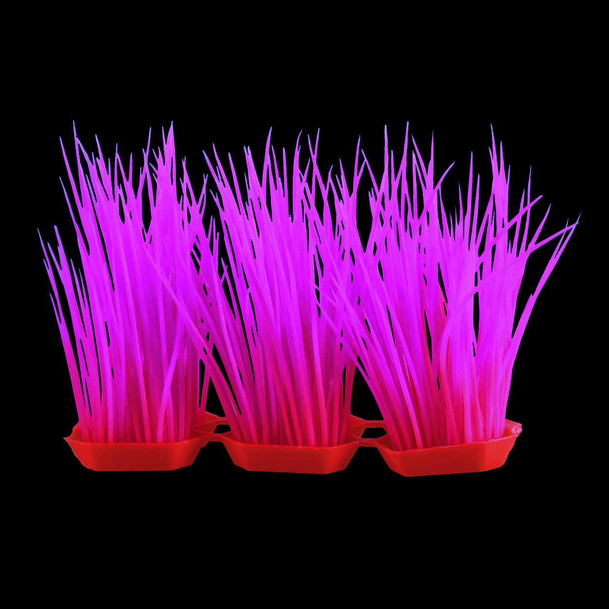 GLOW HAIR GRASS PINK