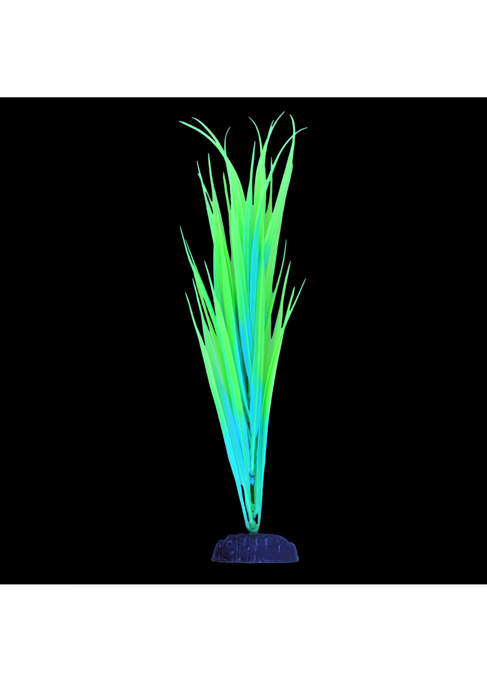 Underwater Treasures GLOW SAGITTARIA GREEN