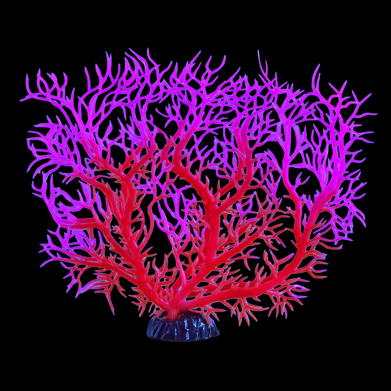 GLOW SEA FAN