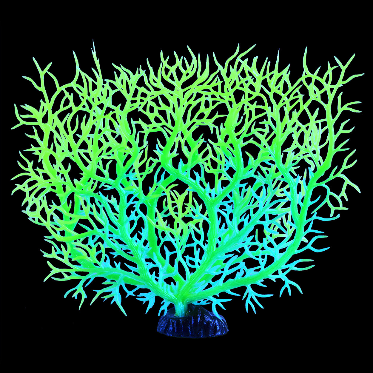 GLOW SEA FAN GREEN