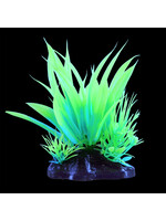 Underwater Treasures GLOW STAR PLANT GREEN