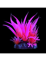Underwater Treasures GLOW STAR PLANT PINK