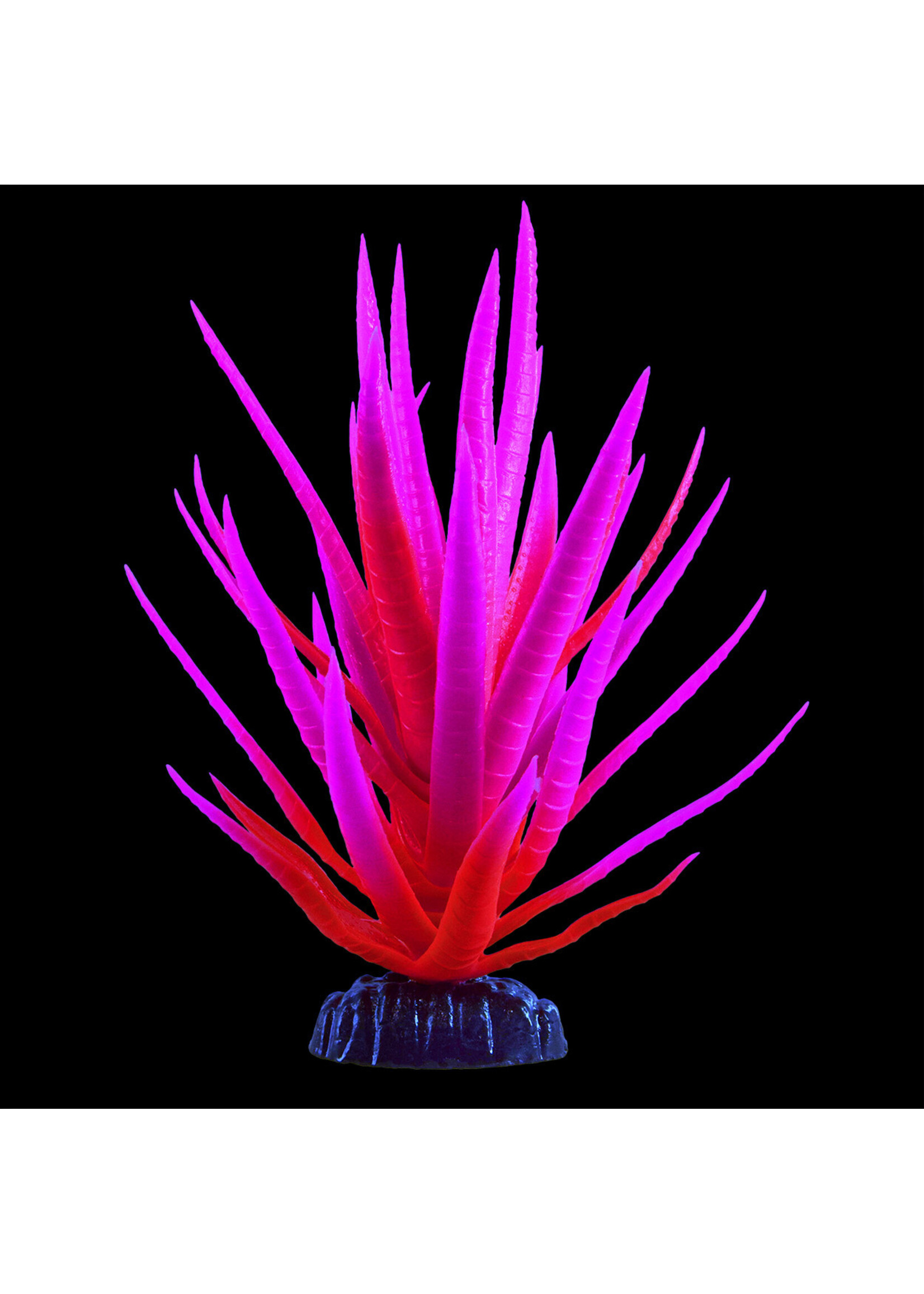 Underwater Treasures GLOW YUCCA PINK MEDIUM