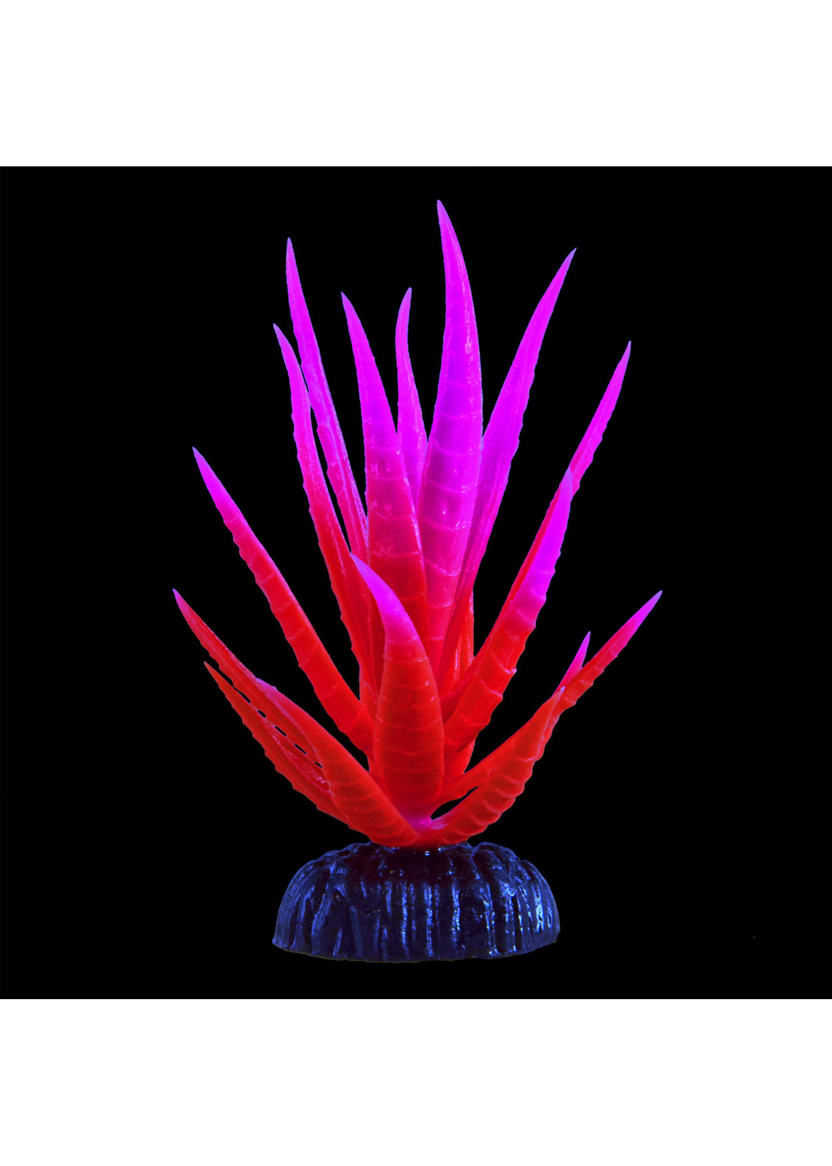 Underwater Treasures GLOW YUCCA PINK SMALL
