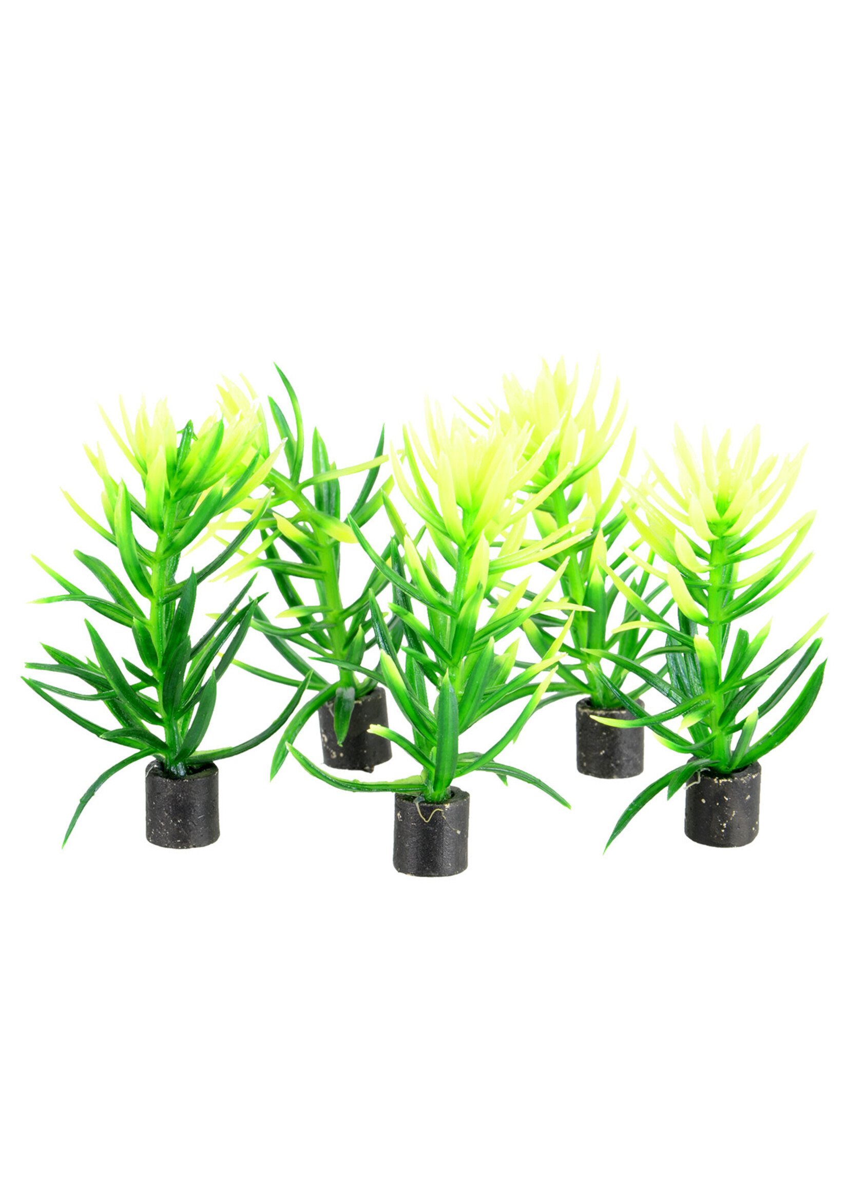 Underwater Treasures PLANT GREEN BUSH 2.5" 5 PK
