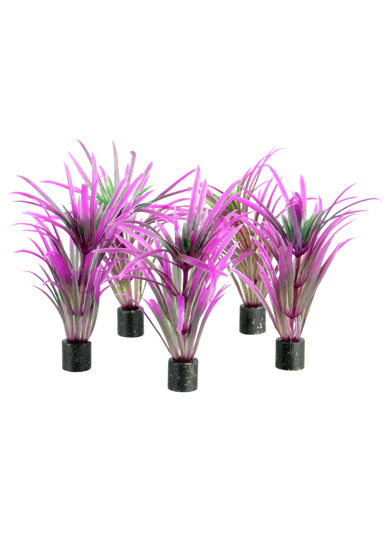 Underwater Treasures PLANT PURPLE GRASS 3" 5 PK