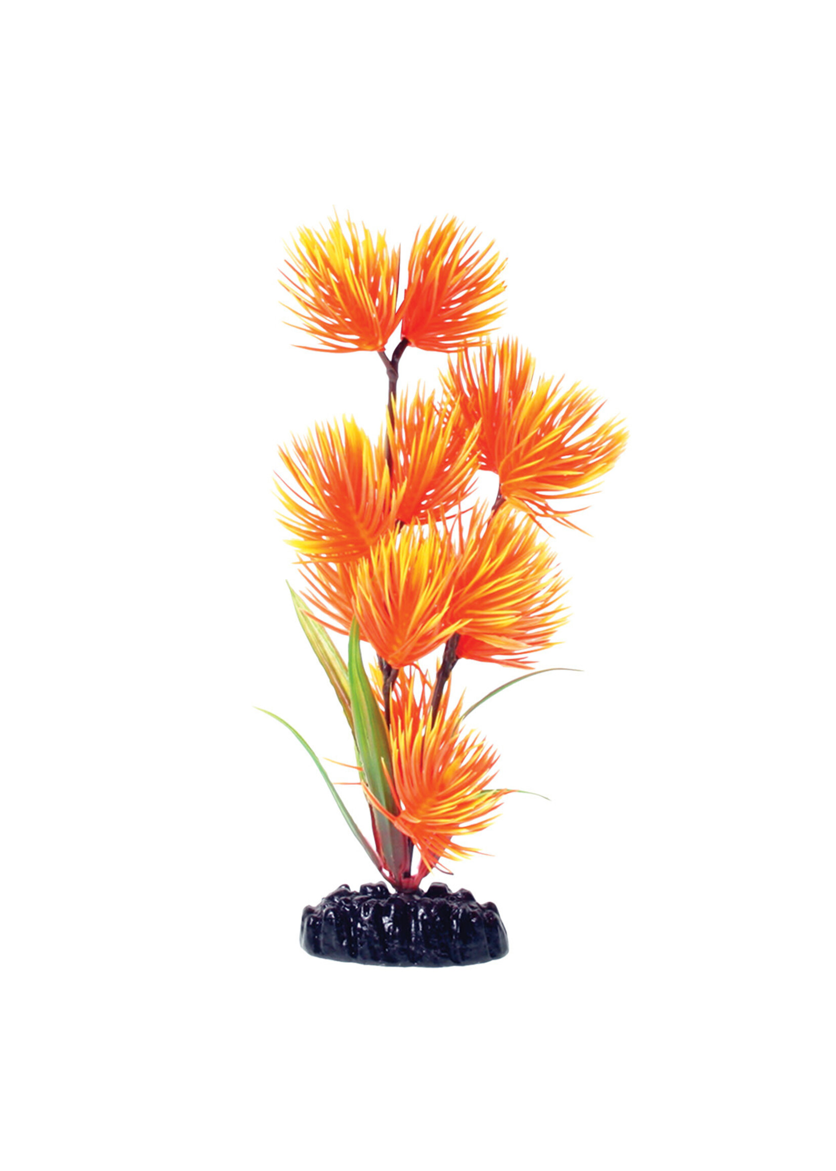 Underwater Treasures ORANGE YELLOW CONIFER 8"