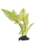 Underwater Treasures PAINTED FERN