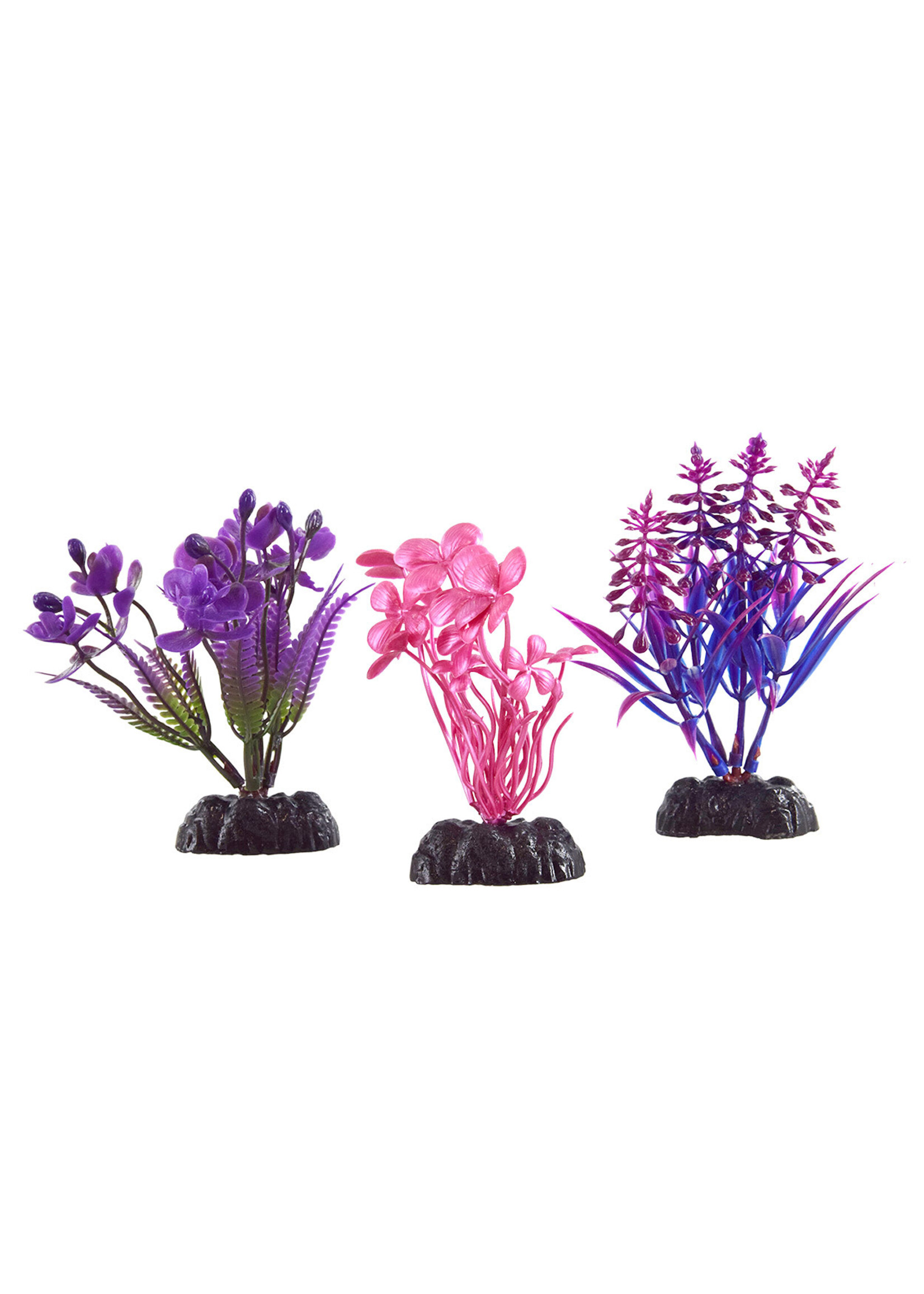 Underwater Treasures PURPLE PLANT COMBO