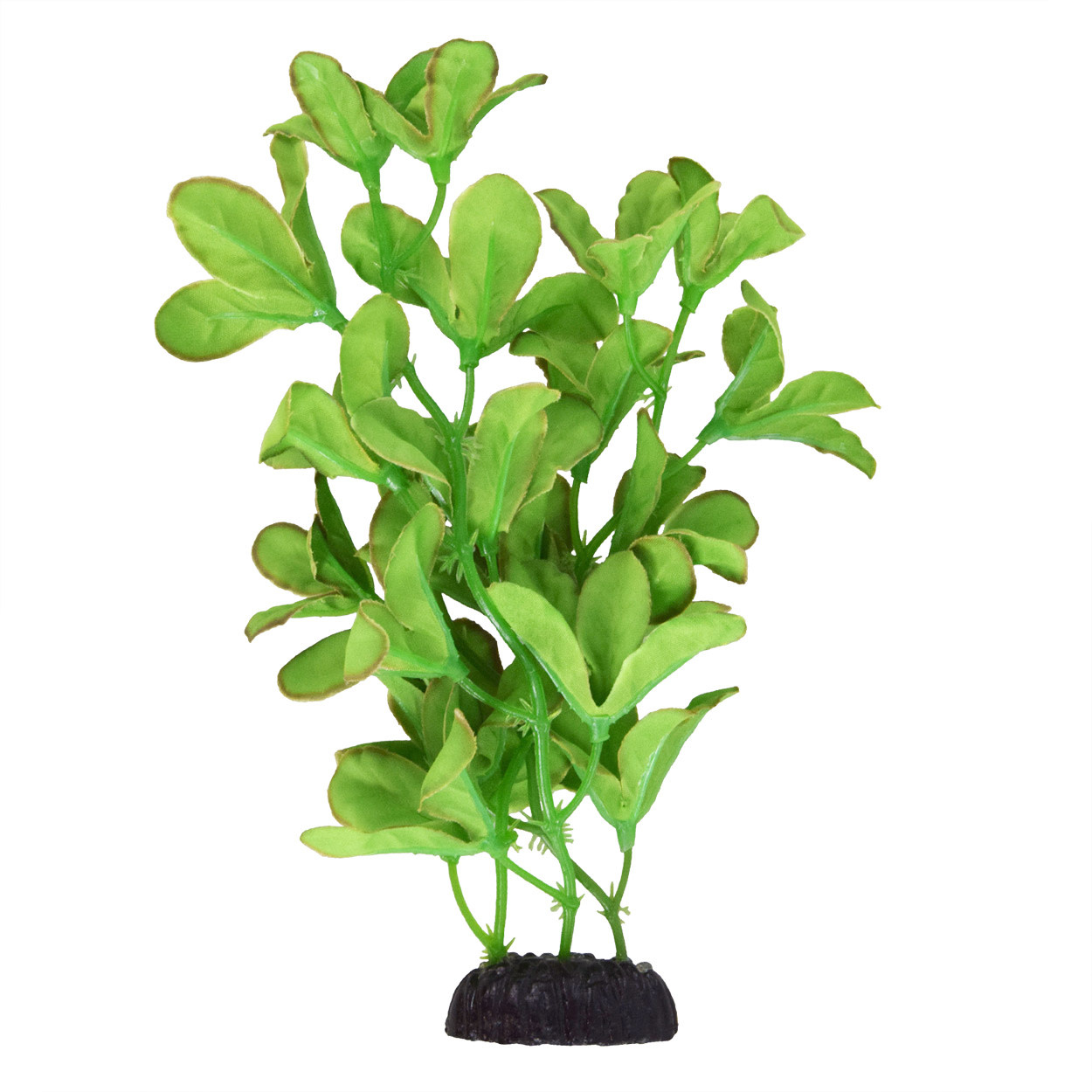 SILK BACOPA MONNIERI 8"