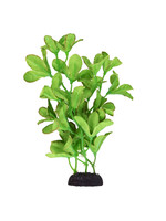 Underwater Treasures SILK BACOPA MONNIERI 8"