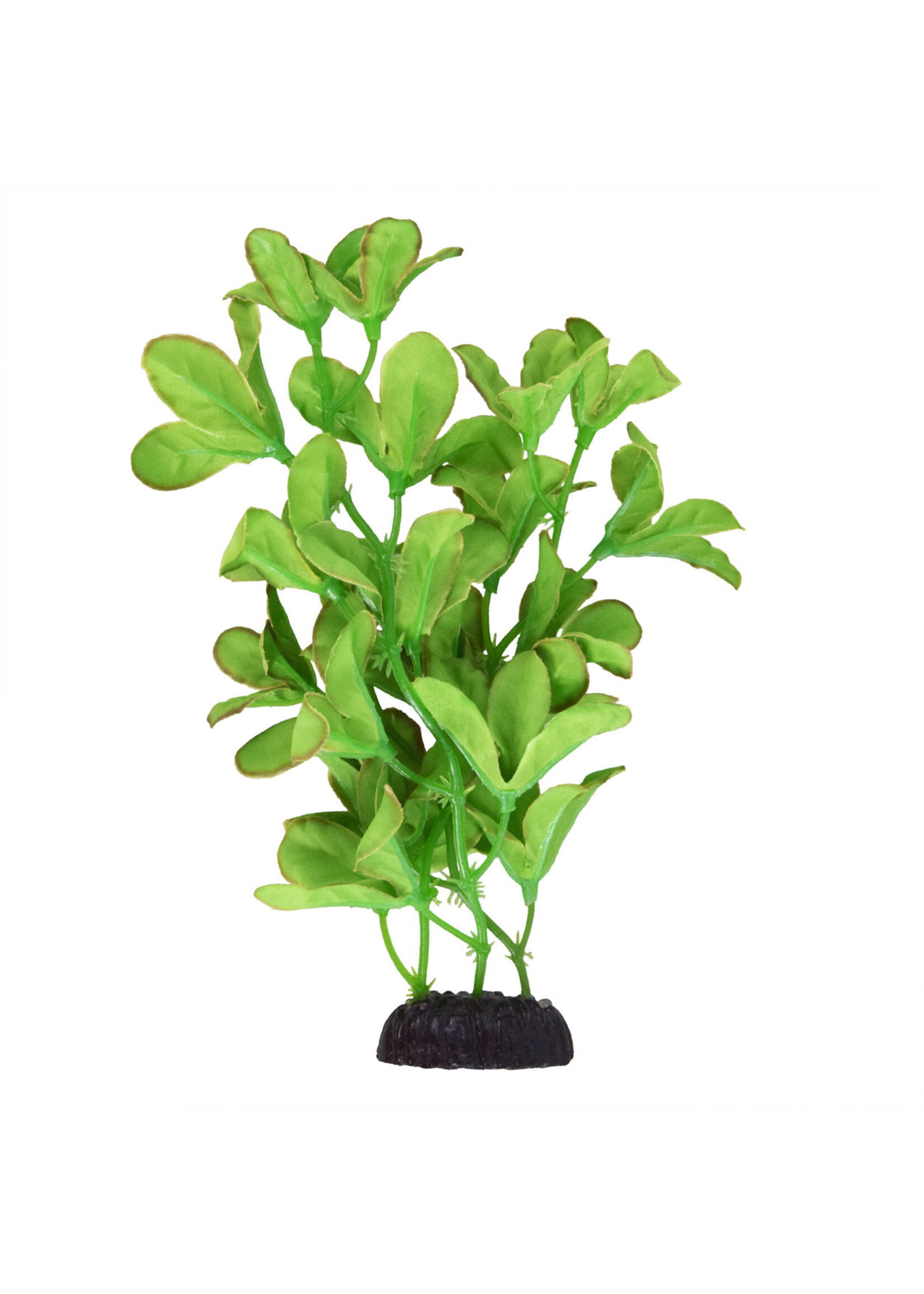 Underwater Treasures SILK BACOPA MONNIERI 8"