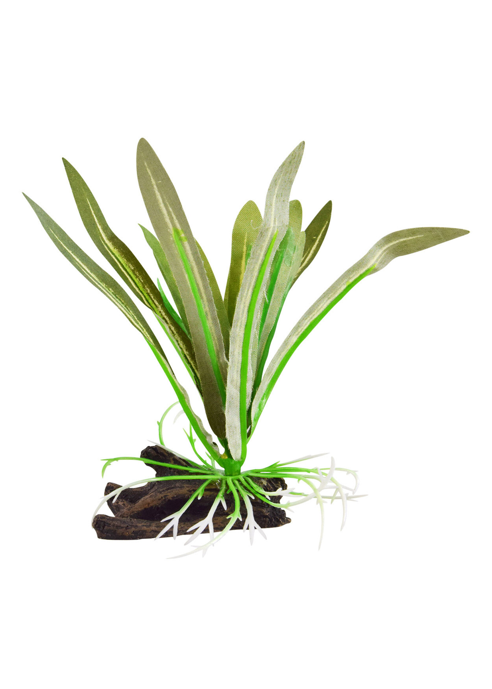 Underwater Treasures SILK DWARF SAGITTARIA