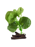 Underwater Treasures SILK HYDROCOTYLE