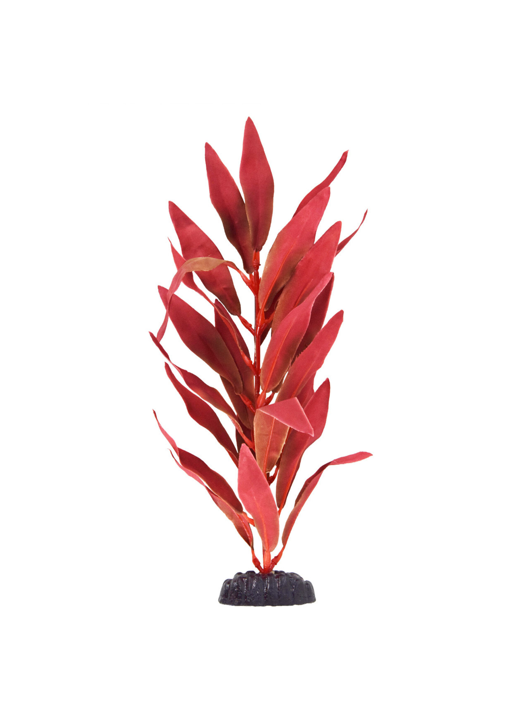 Underwater Treasures SILK RED HYGRO 12"