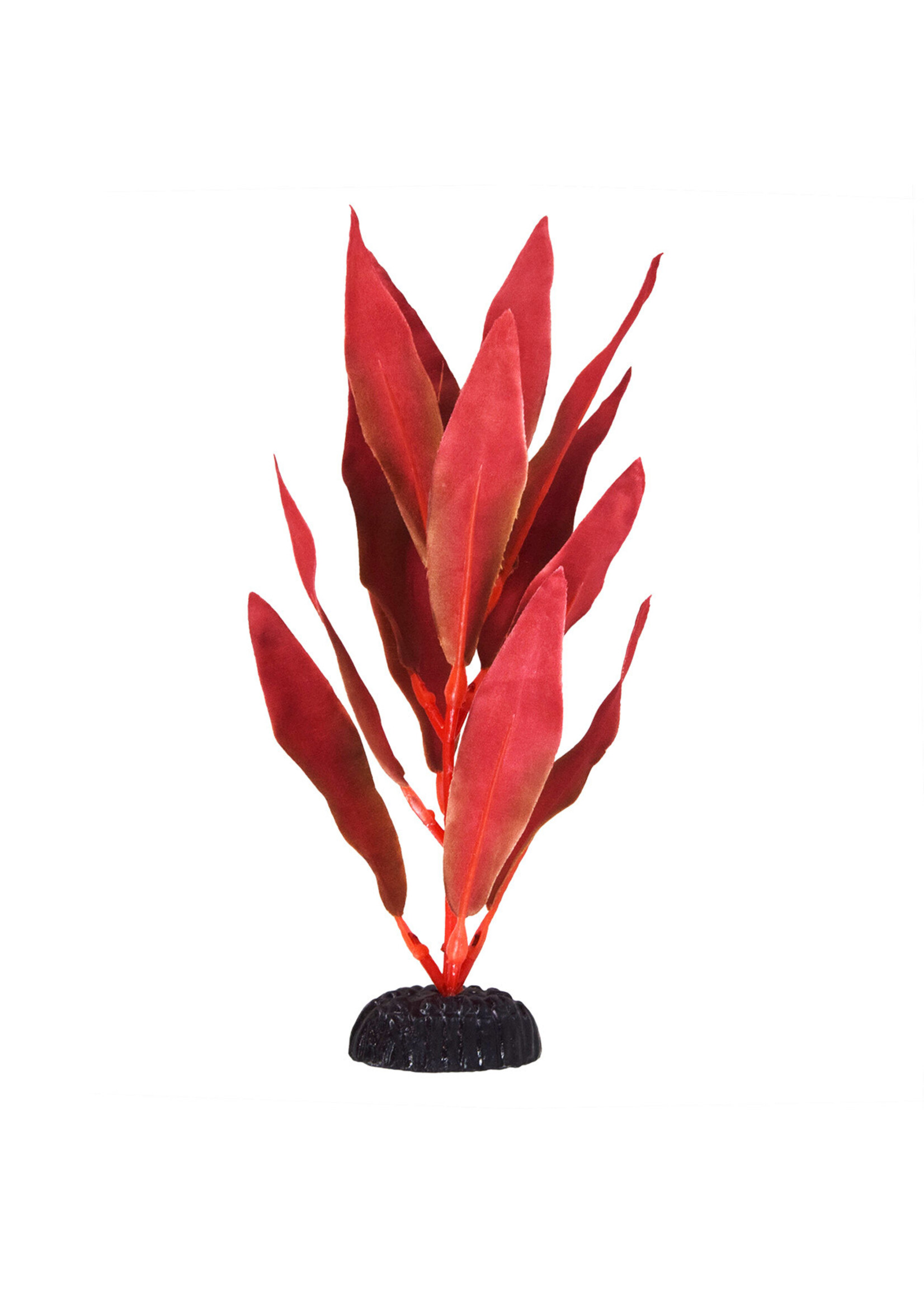 Underwater Treasures SILK RED HYGRO 8"