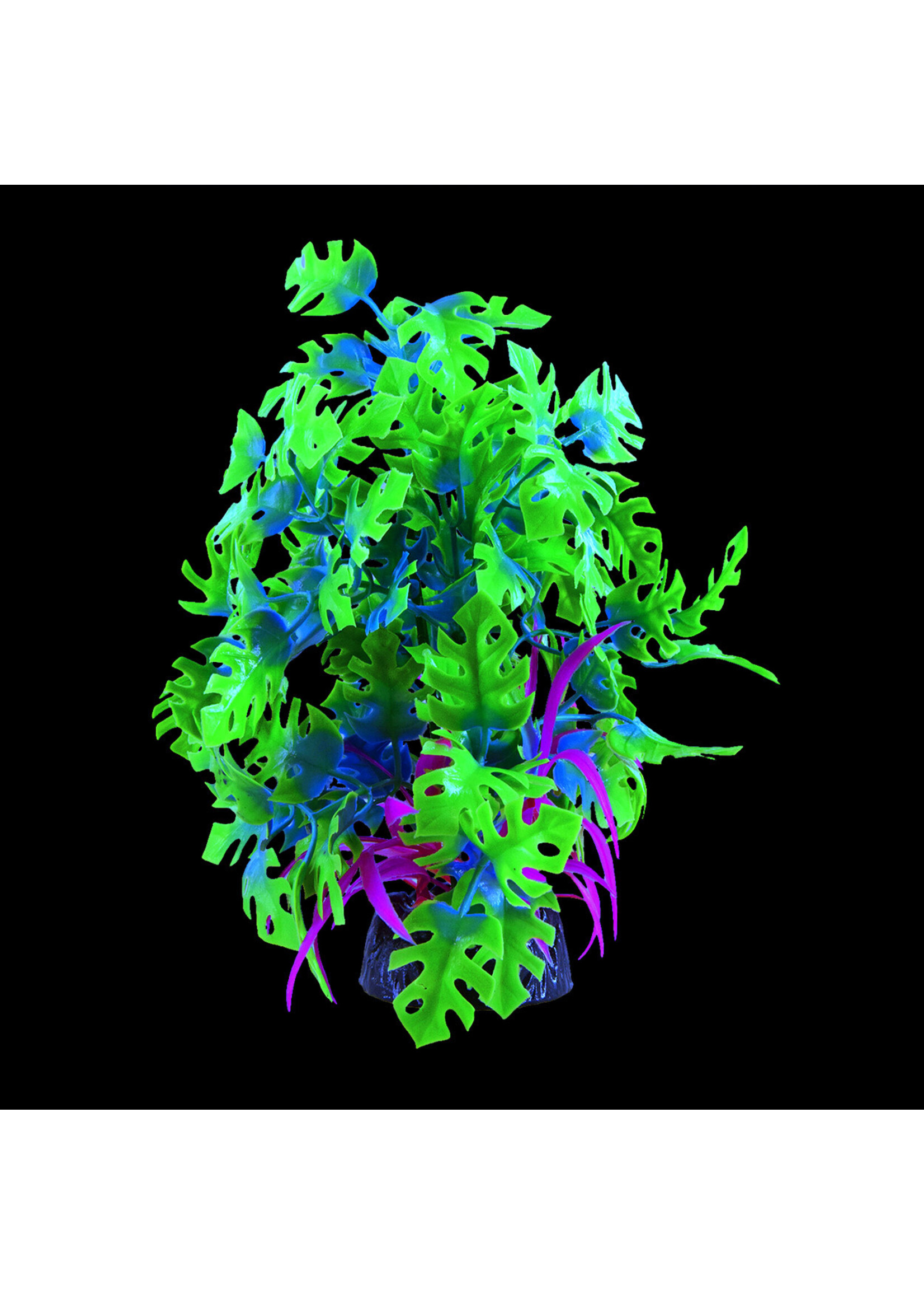 Underwater Treasures GLO ANUBIAS BLUE LARGE