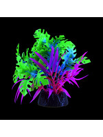 Underwater Treasures GLO ANUBIAS BLUE SMALL