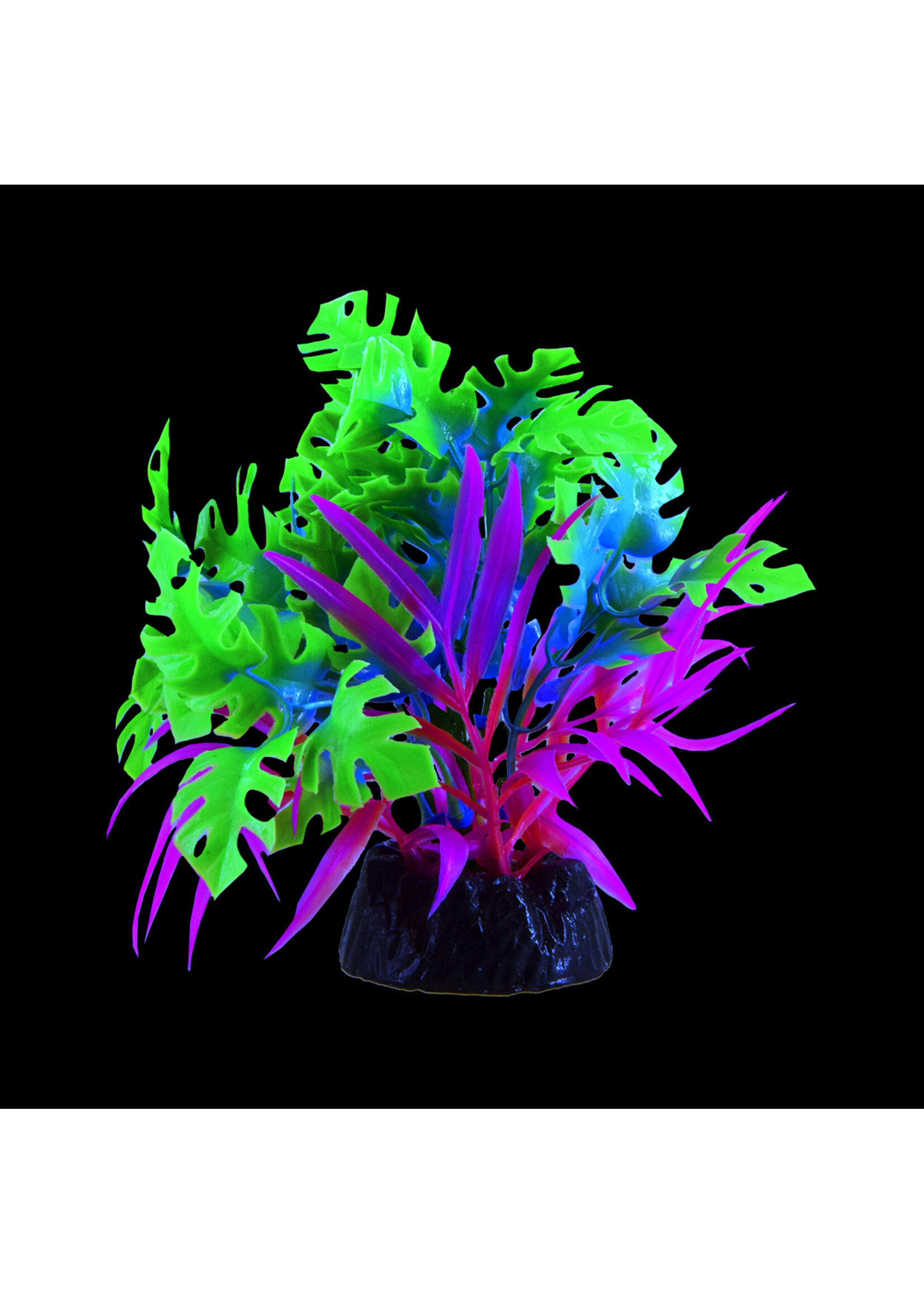 Underwater Treasures GLO ANUBIAS BLUE SMALL