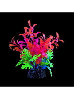 Underwater Treasures GLO BACOPA PINK SMALL