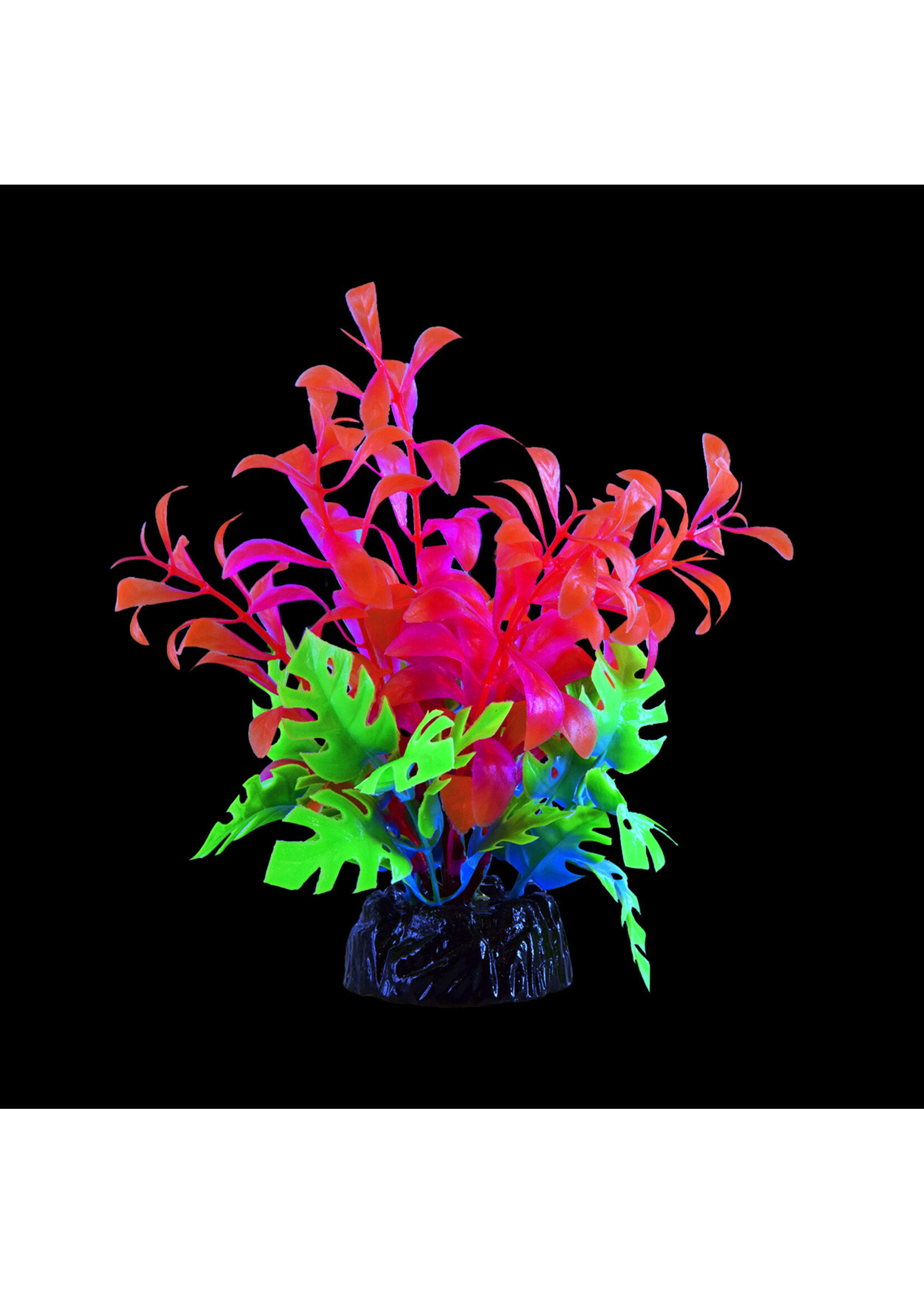 Underwater Treasures GLO BACOPA PINK SMALL