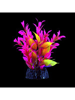 Underwater Treasures GLO HYGRO PINK SMALL