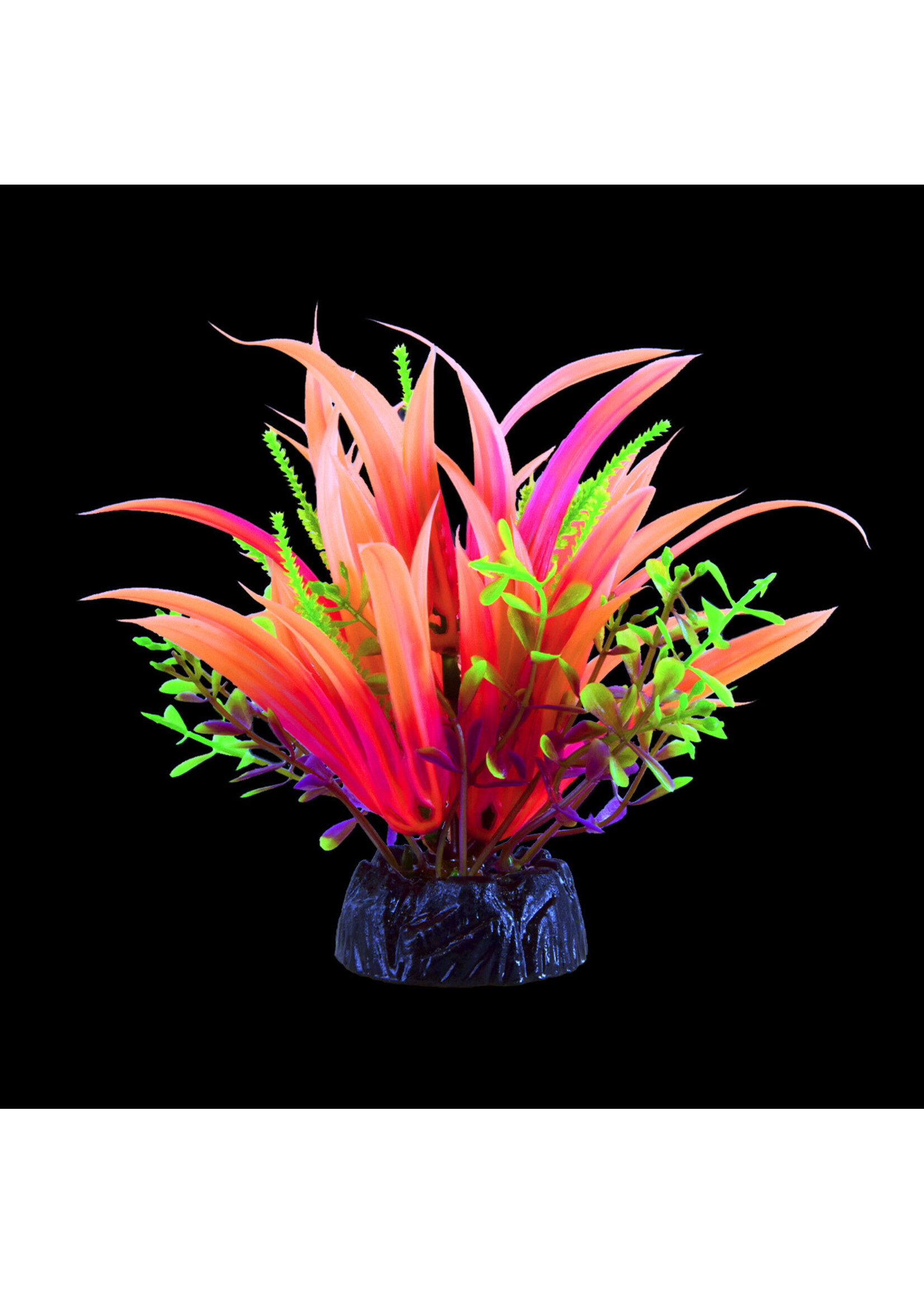 Underwater Treasures GLO JAPONICA PINK SMALL