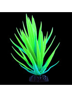 Underwater Treasures GLO AGAVE