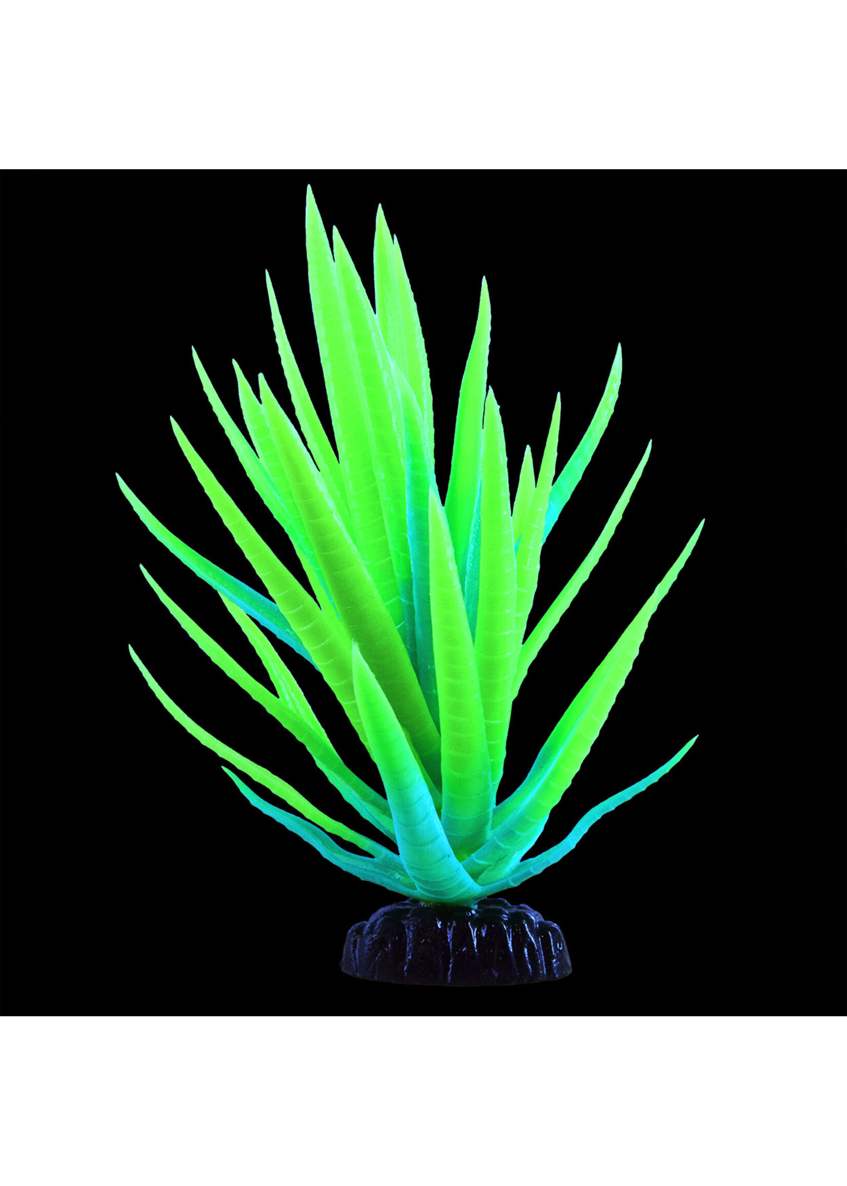 Underwater Treasures GLO AGAVE