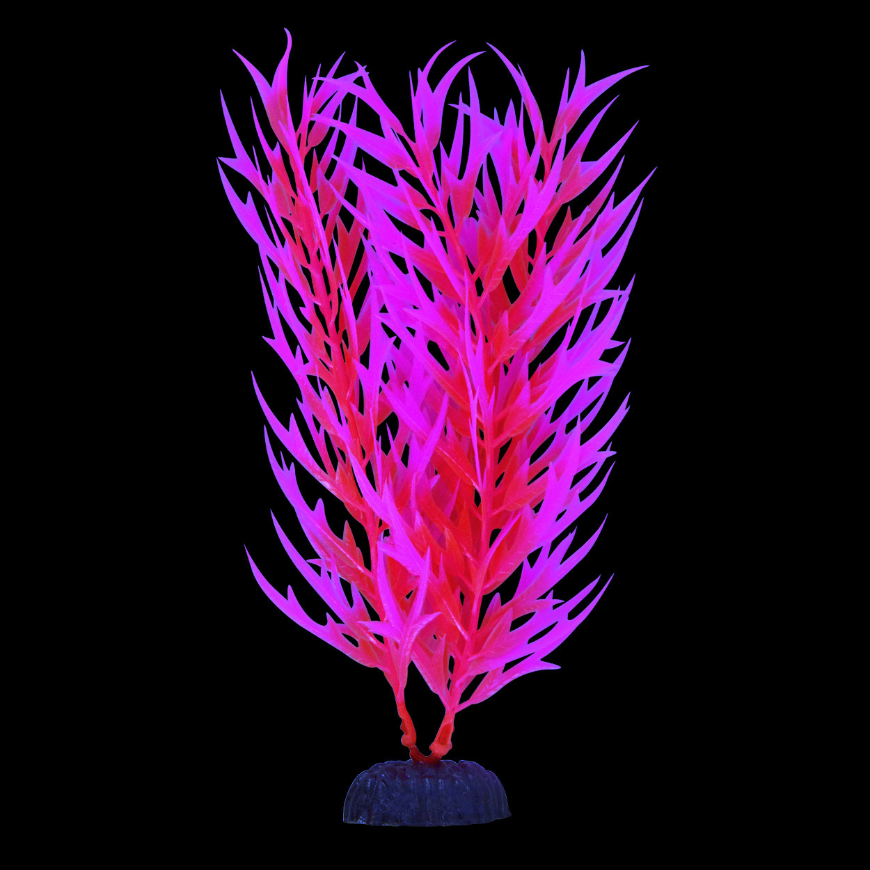 GLO BAMBOO PINK