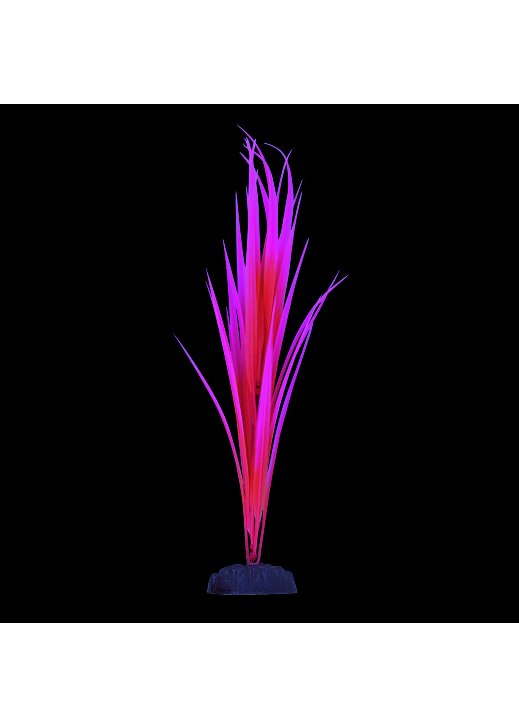 Underwater Treasures GLO SAGITTARIA PINK