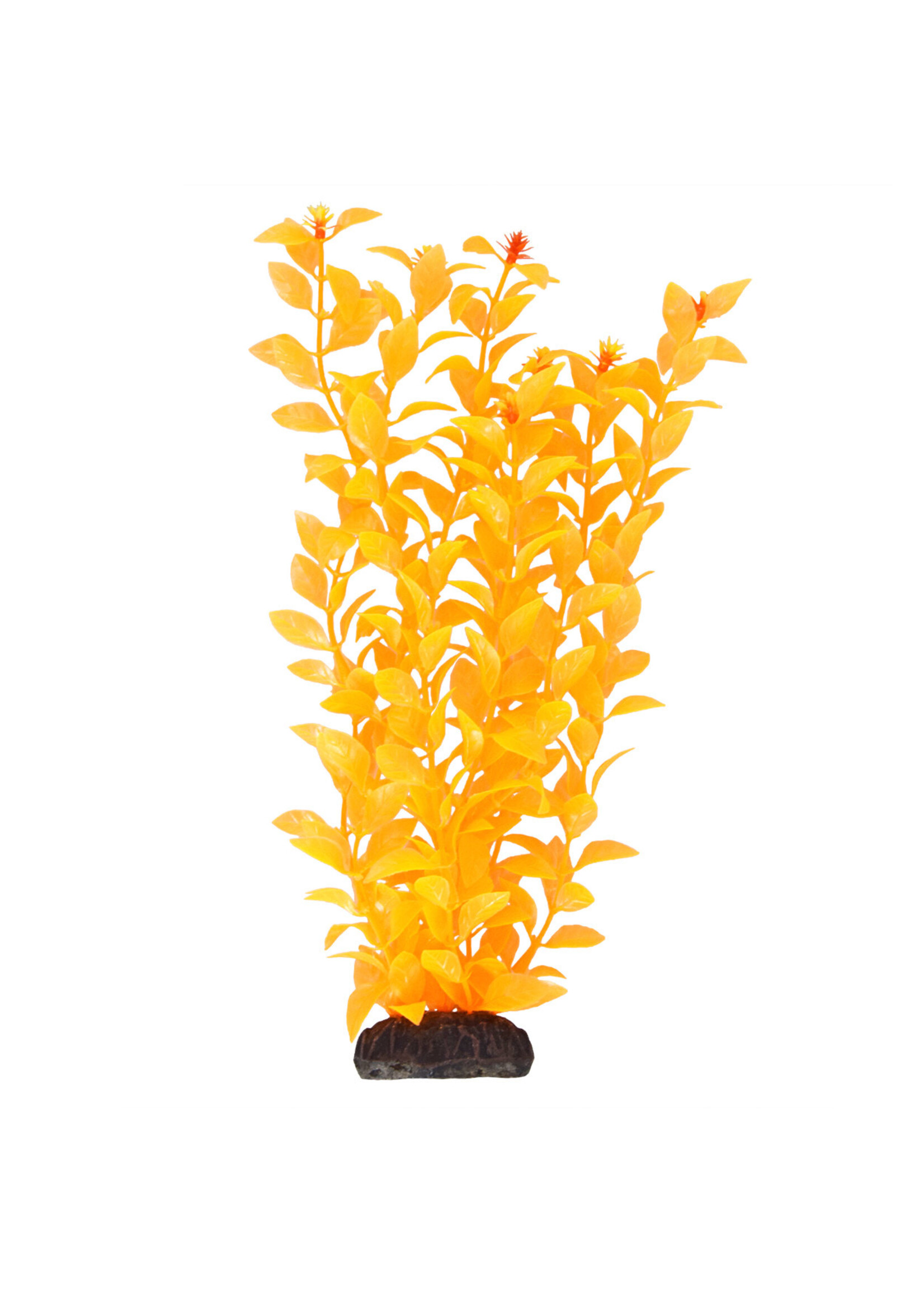 Underwater Treasures LUDWIGIA ORANGE 12"