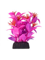 Underwater Treasures LUDWIGIA PINK 3"