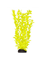 Underwater Treasures LUDWIGIA YELLOW 12"