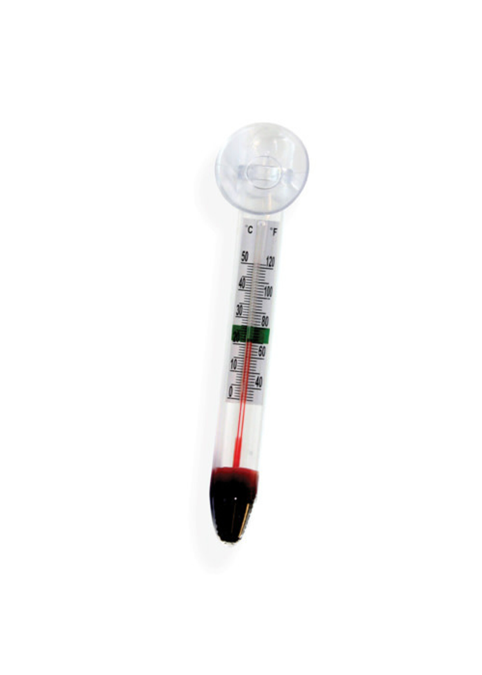 Underwater Treasures FLOATING GLASS THERMOMETER