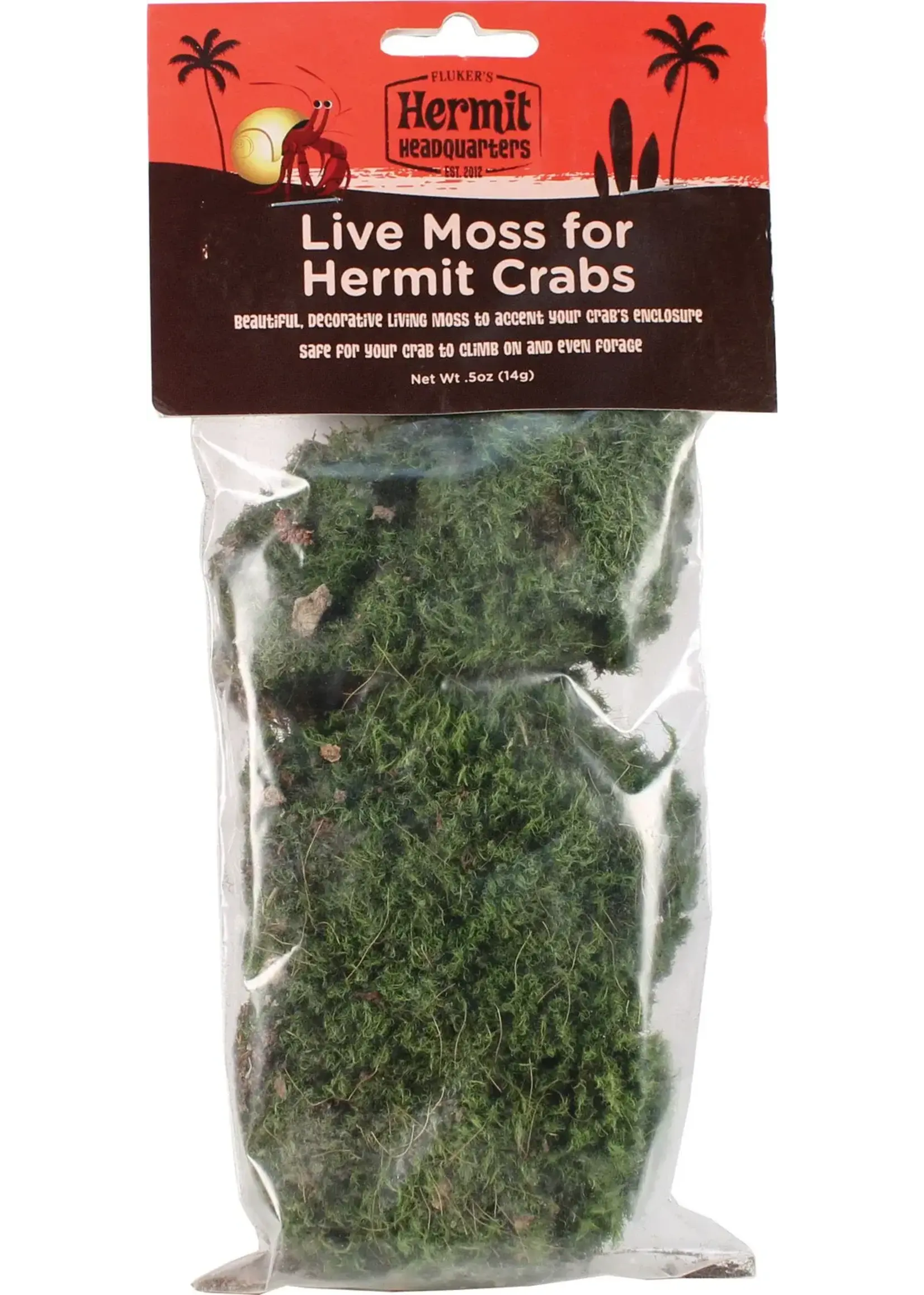 Fluker Farm HERMIT CRAB LIVE MOSS .5OZ