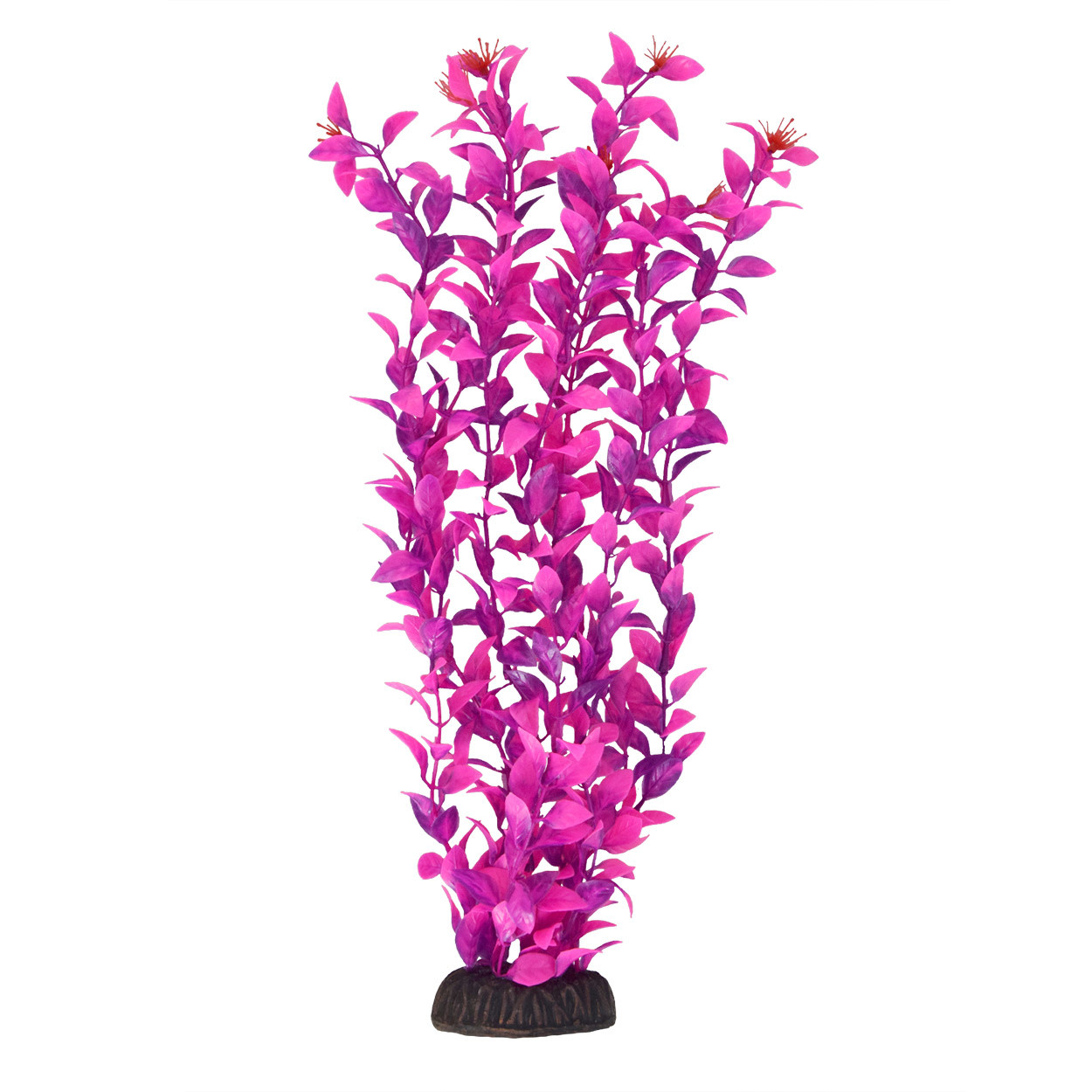 LUDWIGIA PINK 16"