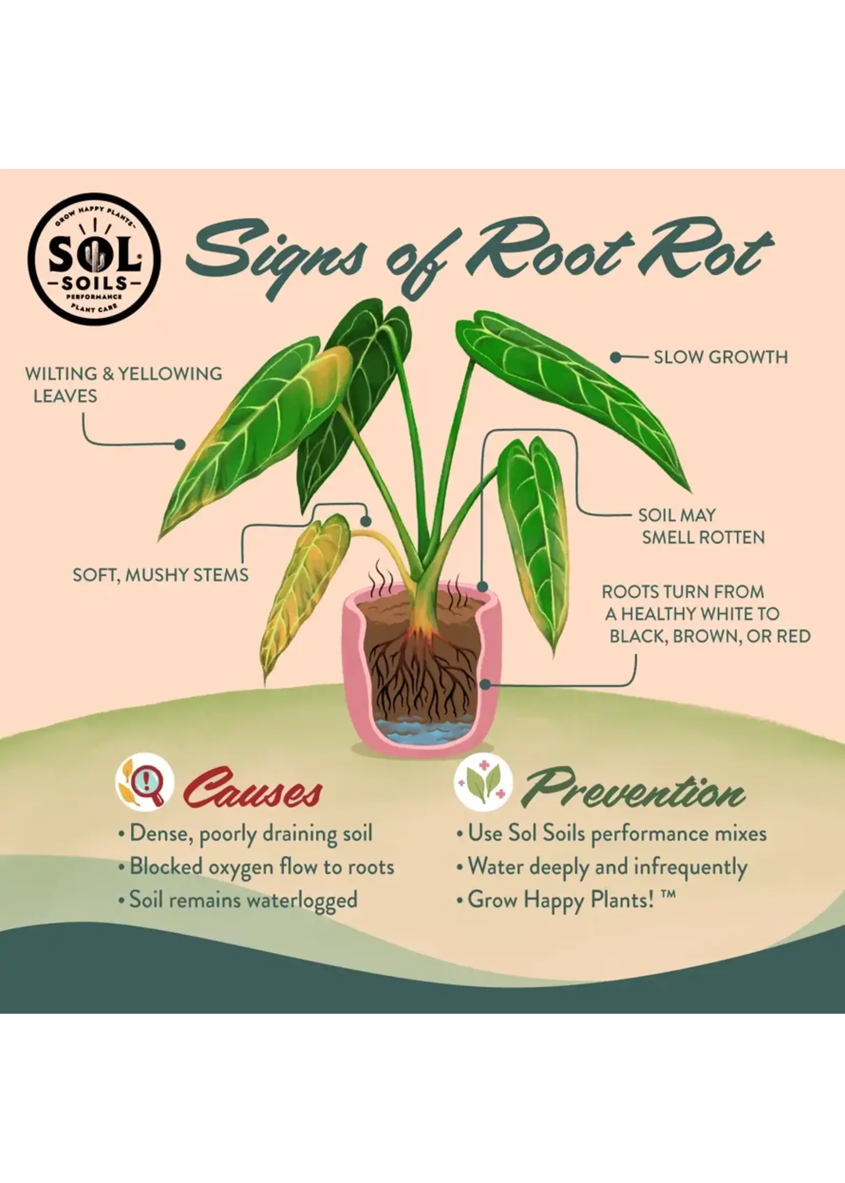 Sol Soils BONSAI GRITTY MIX 2 QUARTS