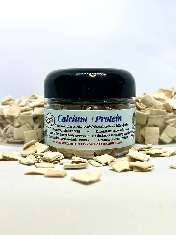 CALCIUM + PROTEIN 1.7 OZ