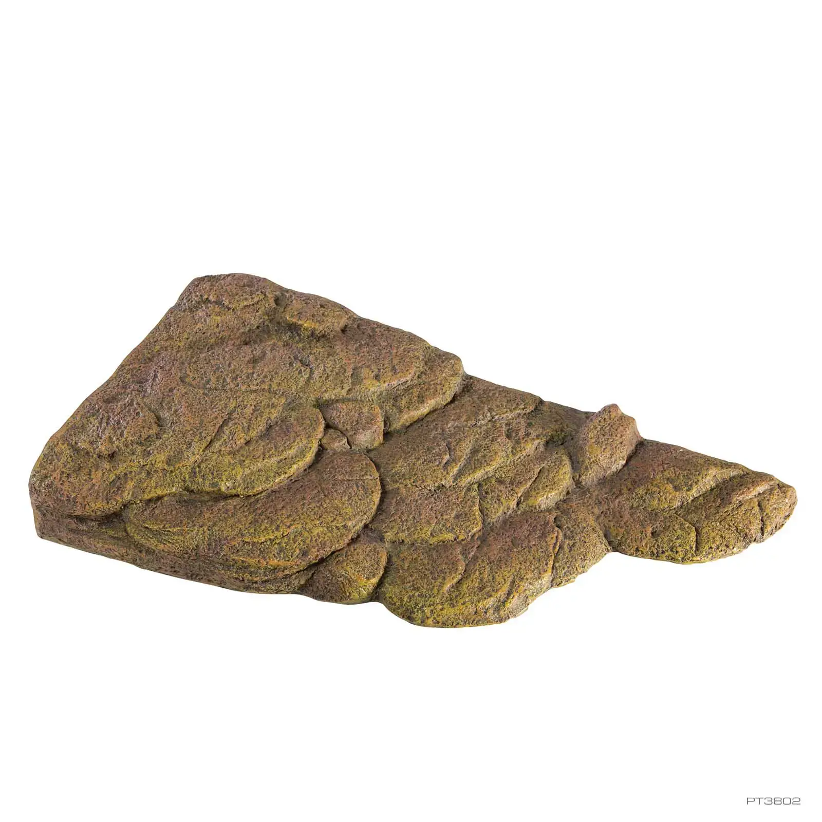 TURTLE BANK LG