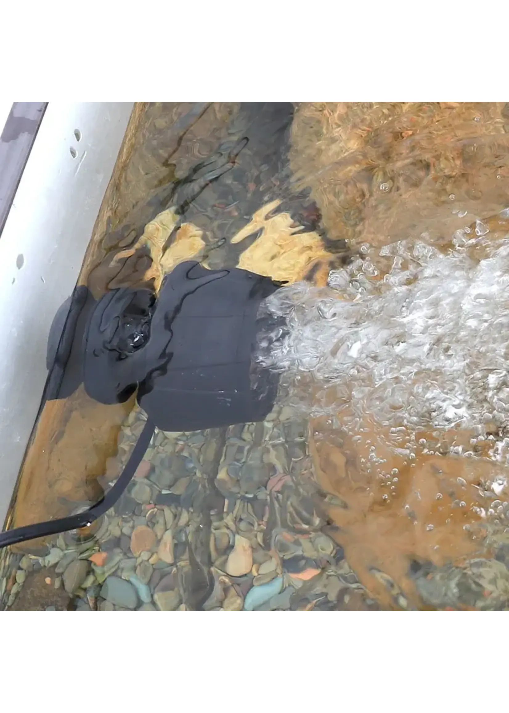 Hygger 24/7 CUSTOM MODE DC WAVE MAKER 1500 GPH