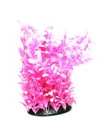 Underwater Treasures WHITE TIPPED LUDWIGIA 12"